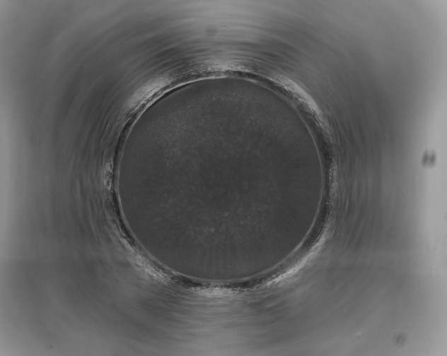 X0000097630785200803071530