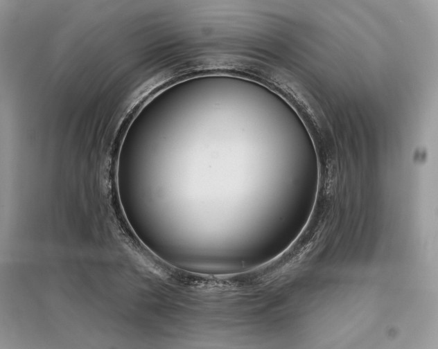 X0000097630786200803071530