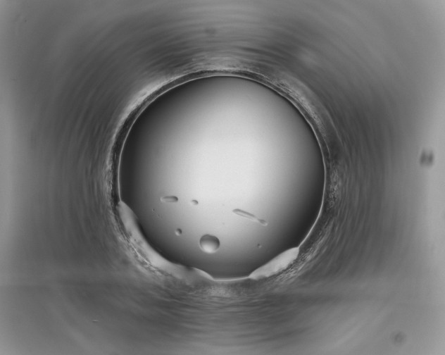 X0000097630787200803071530