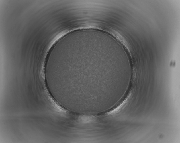 X0000097630789200803071530