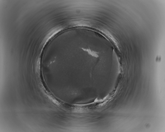 X0000097630790200803071530