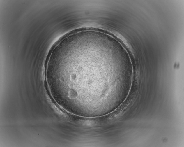 X0000097630791200803071530