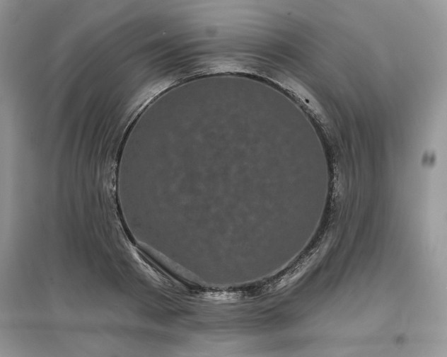 X0000097630793200803071530