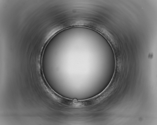 X0000097630794200803071530