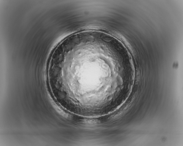 X0000097630795200803071530