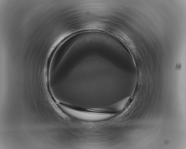 X0000097630796200803071530