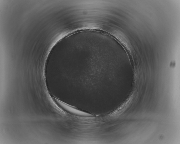 X0000097630797200803071530