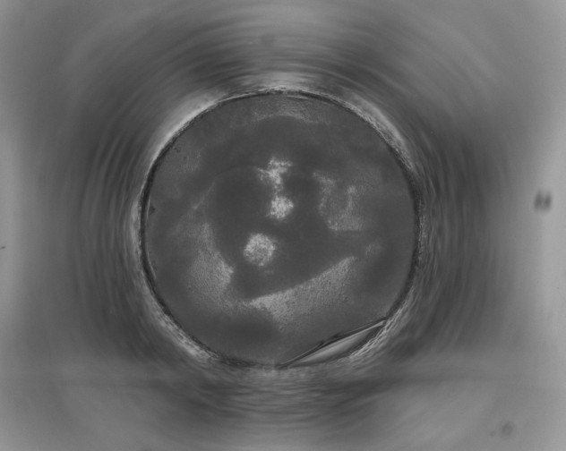 X0000097630798200803071529