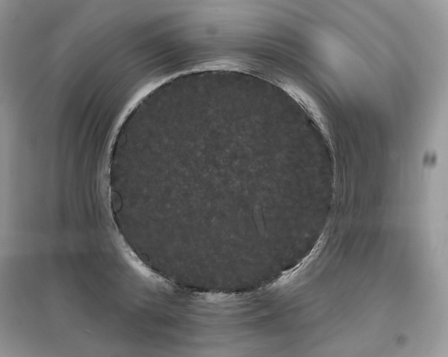 X0000097630800200803071529