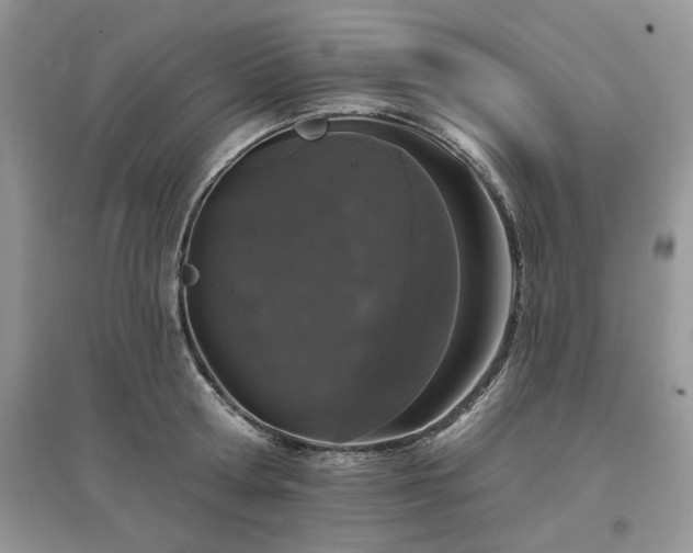 X0000097630802200803071529