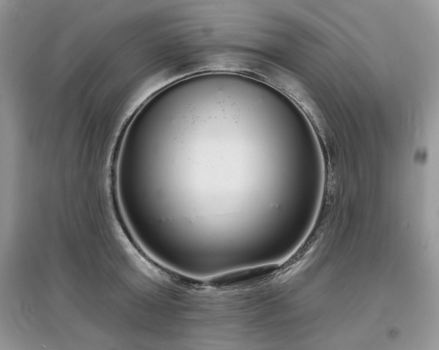 X0000097630803200803071529