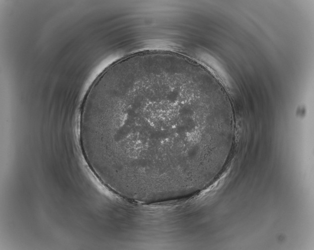 X0000097630804200803071529