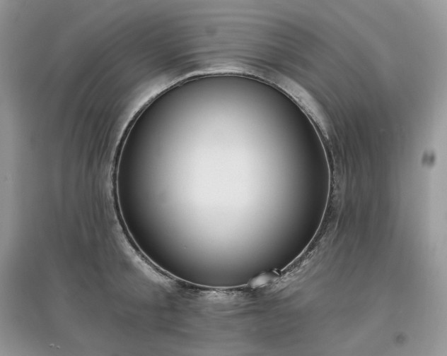 X0000097630805200803071529