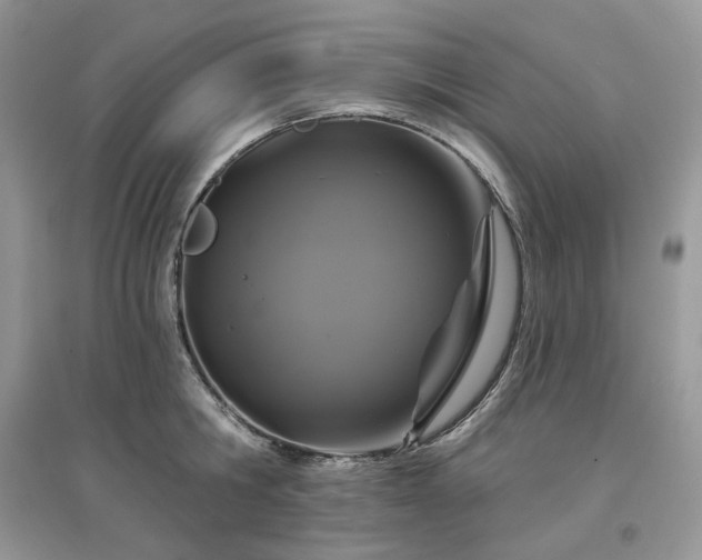 X0000097630806200803071529