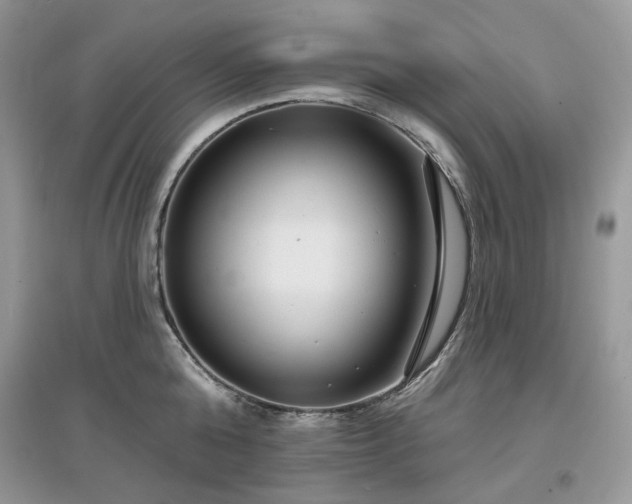 X0000097630808200803071529