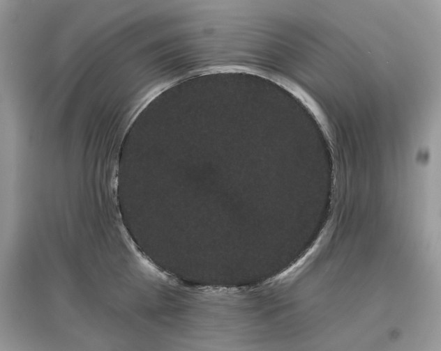 X0000097630809200803071529