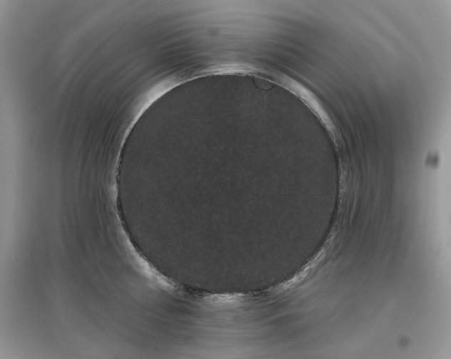 X0000097630810200803071529