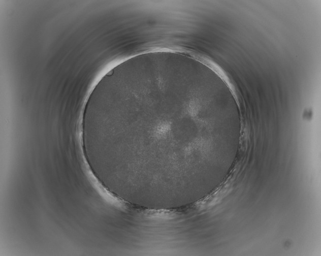 X0000097630811200803071529