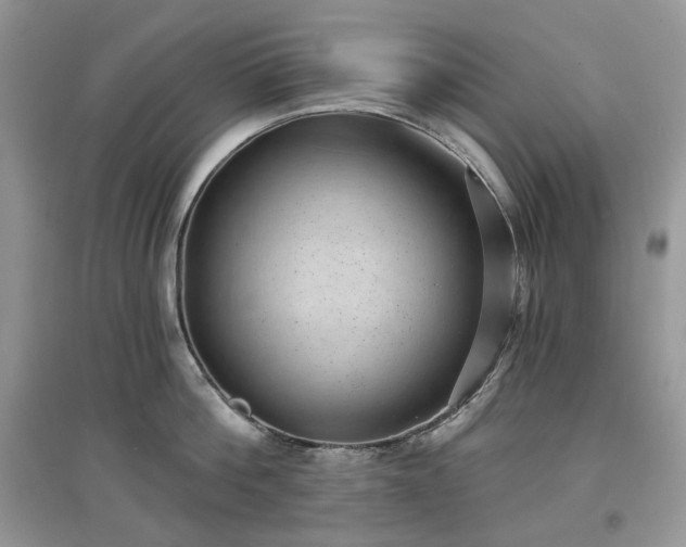 X0000097630812200803071529