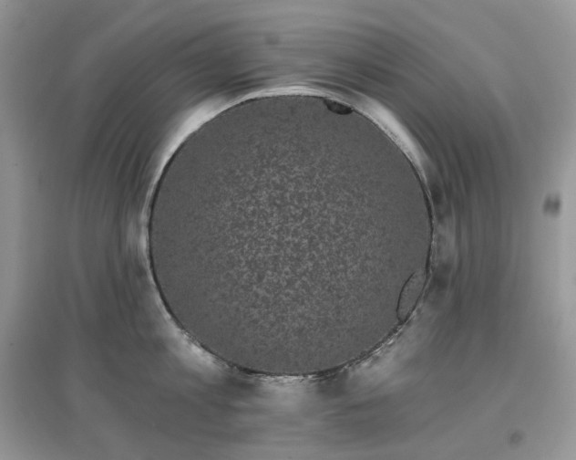 X0000097630813200803071529