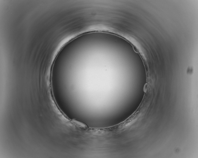 X0000097630815200803071529