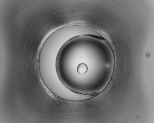 X0000097630816200803071529