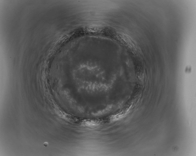 X0000097630817200803071529