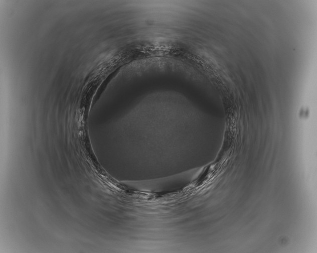 X0000097630818200803071529