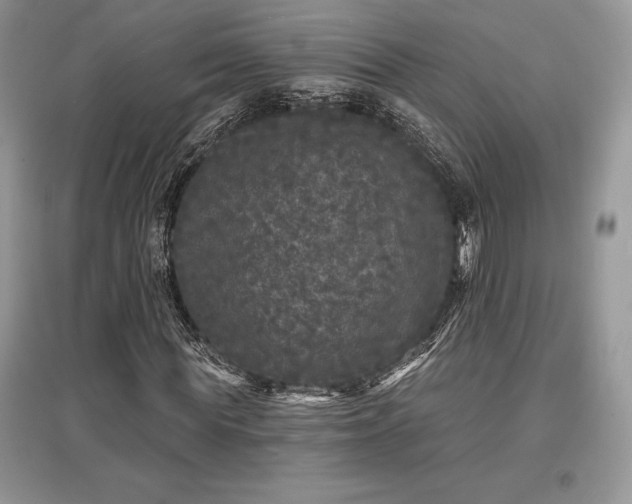 X0000097630819200803071529