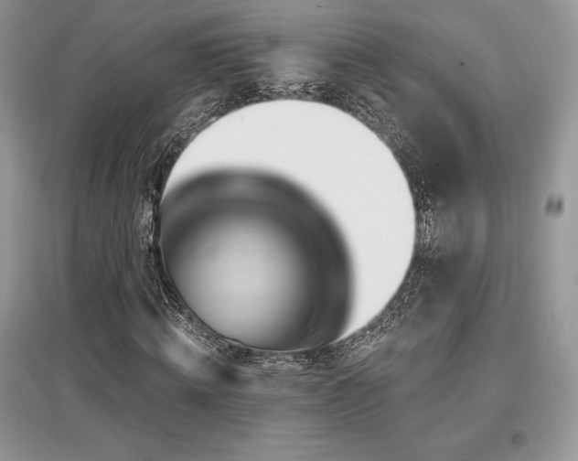 X0000097630820200803071529