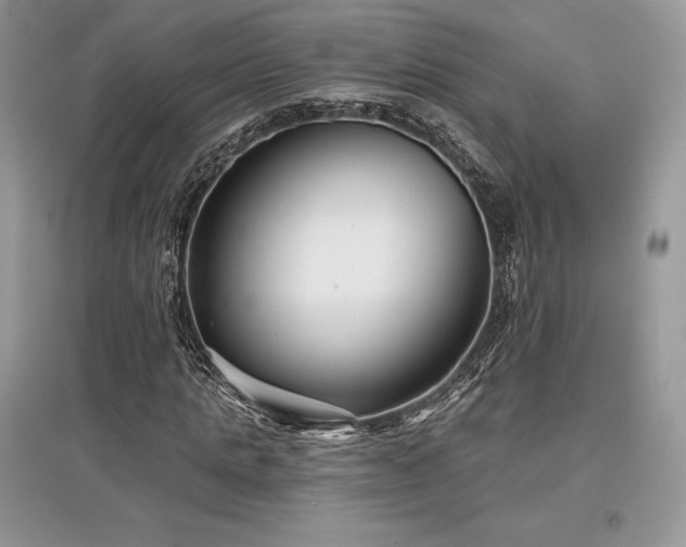 X0000097630821200803071529