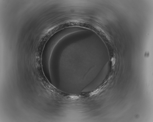 X0000097630822200803071529