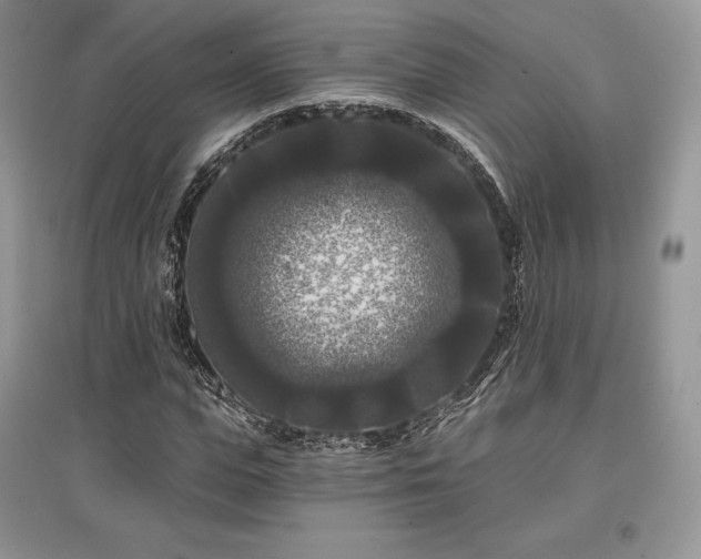 X0000097630823200803071529