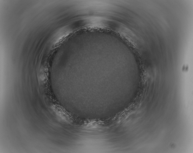 X0000097630824200803071529