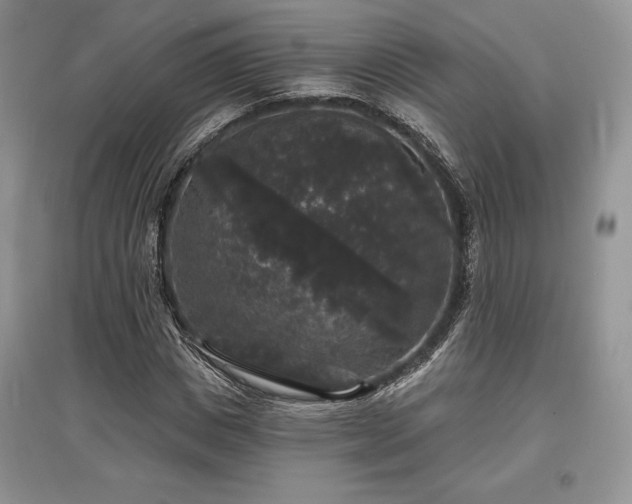 X0000097630825200803071529