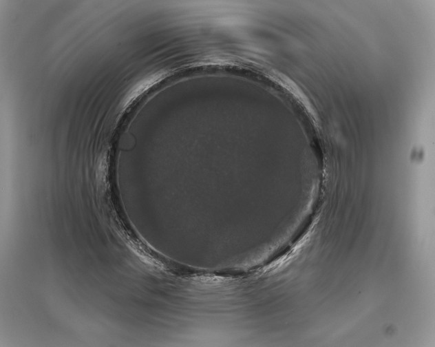 X0000097630826200803071529