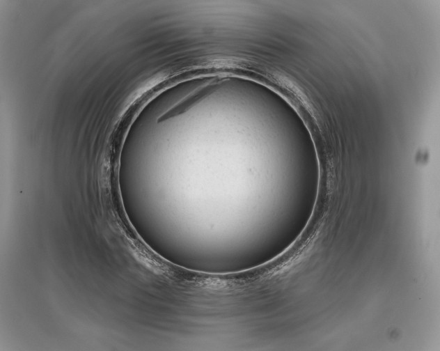 X0000097630827200803071529