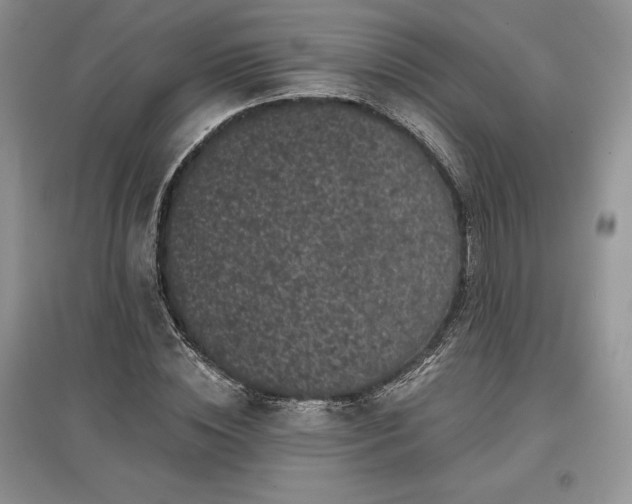 X0000097630828200803071529