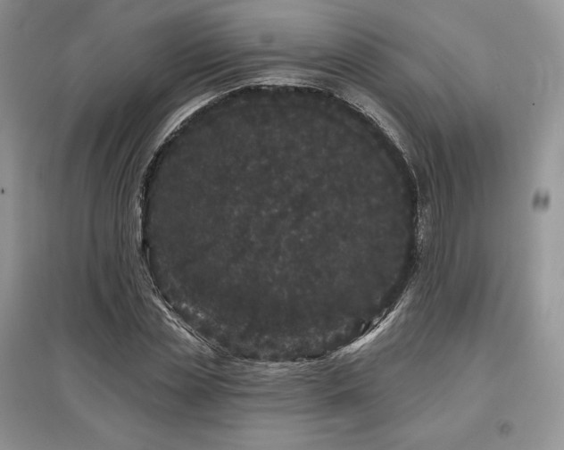 X0000097630829200803071529