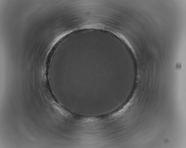 X0000097630830200803071529