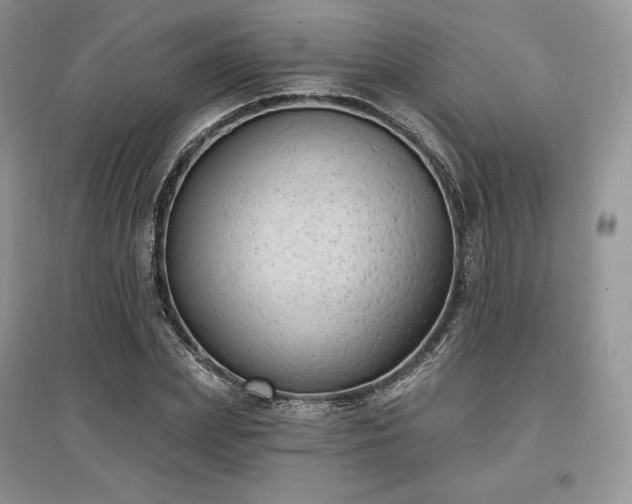 X0000097630831200803071529