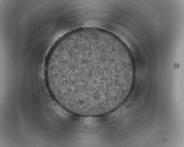 X0000097630832200803071529