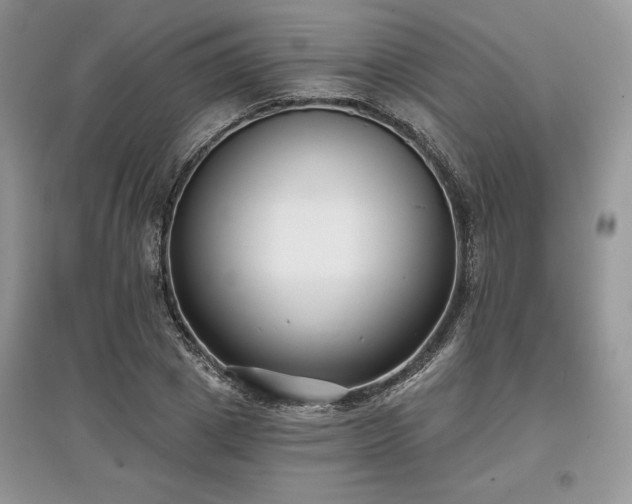 X0000097630833200803071529