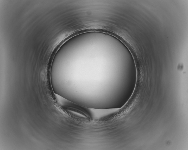 X0000097630834200803071529