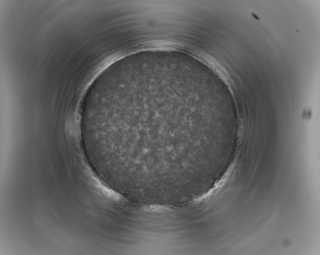 X0000097630835200803071529