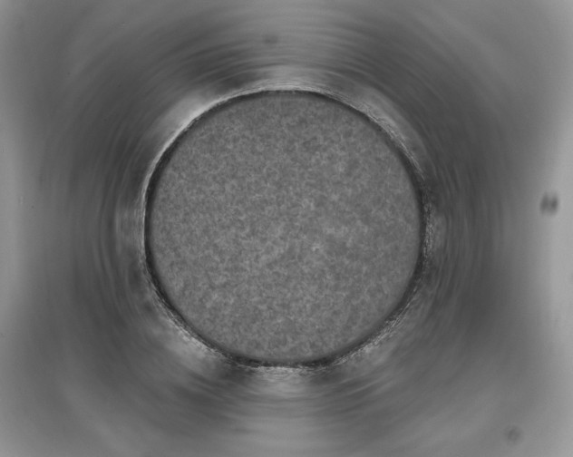 X0000097630836200803071529