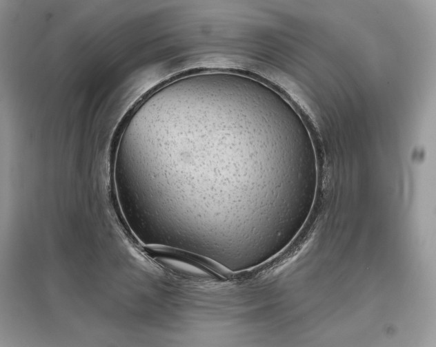 X0000097630837200803071529