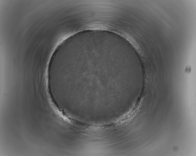 X0000097630840200803071529