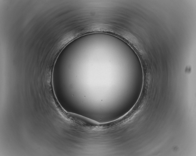 X0000097630841200803071529