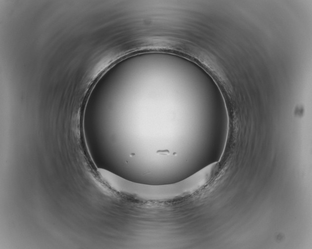 X0000097630842200803071529